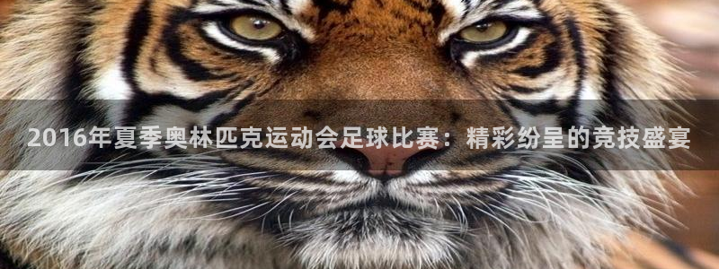  2016年夏季奥林匹克运动会足球比赛：精彩纷呈的竞技盛宴