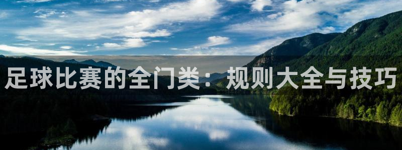  足球比赛的全门类：规则大全与技巧