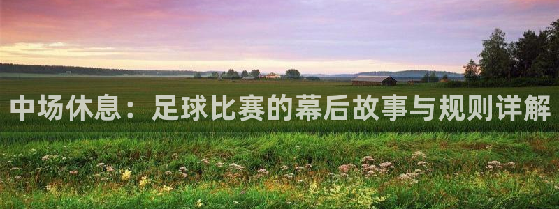 中场休息：足球比赛的幕后故事与规则详解