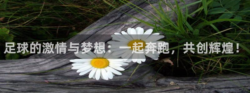 足球的激情与梦想：一起奔跑，共创辉煌！