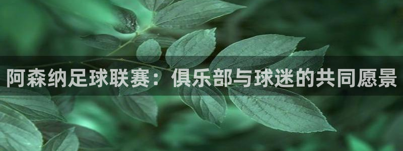 阿森纳足球联赛：俱乐部与球迷的共同愿景