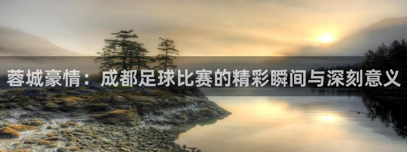  蓉城豪情：成都足球比赛的精彩瞬间与深刻意义
