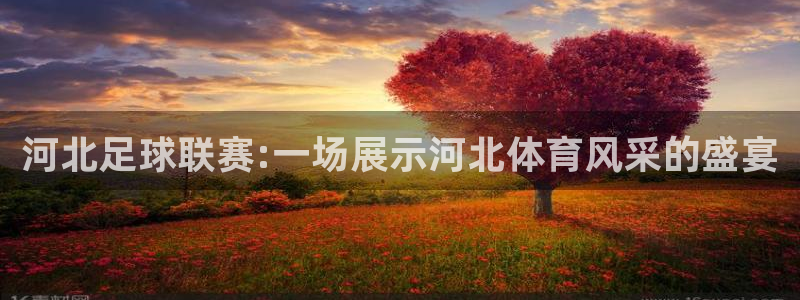  河北足球联赛:一场展示河北体育风采的盛宴