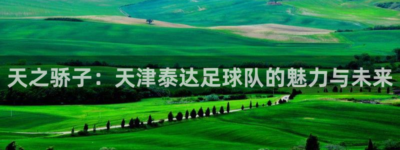 天之骄子：天津泰达足球队的魅力与未来