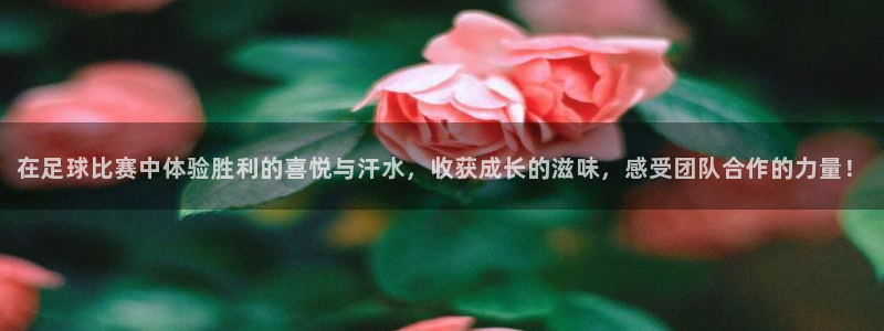  在足球比赛中体验胜利的喜悦与汗水，收获成长的滋味，感受团队合