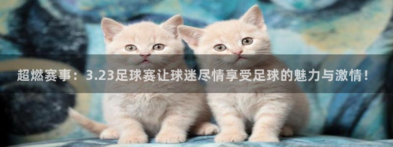  超燃赛事：3.23足球赛让球迷尽情享受足球的魅力与激情！