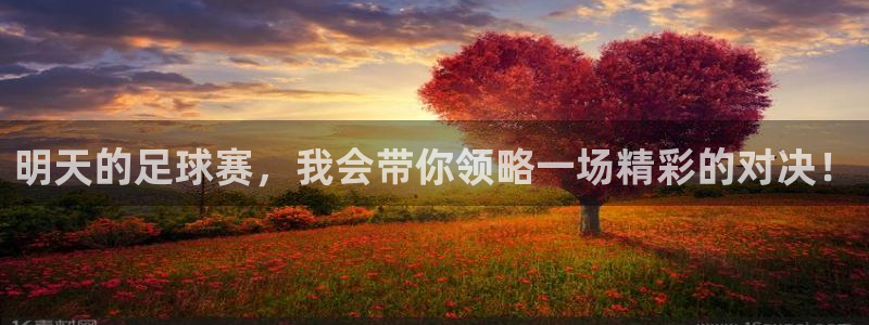  明天的足球赛，我会带你领略一场精彩的对决！