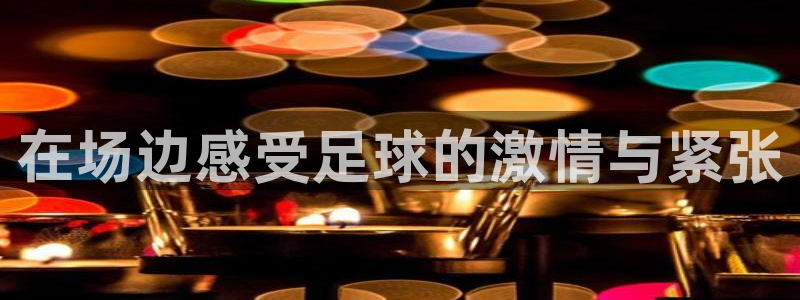 在场边感受足球的激情与紧张