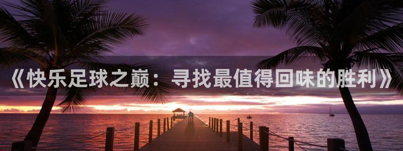 《快乐足球之巅：寻找最值得回味的胜利》