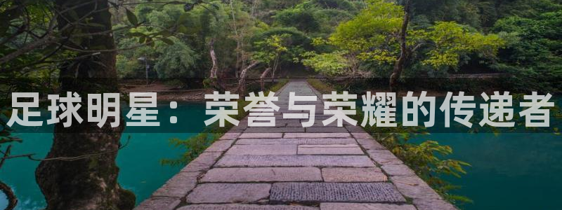  足球明星：荣誉与荣耀的传递者