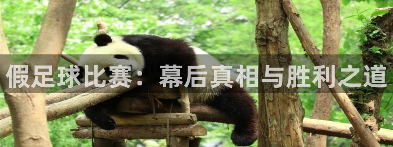 假足球比赛：幕后真相与胜利之道