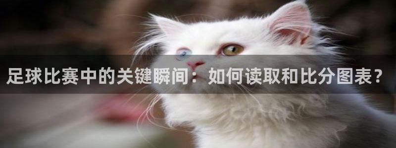  足球比赛中的关键瞬间：如何读取和比分图表？