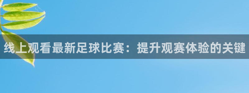  线上观看最新足球比赛：提升观赛体验的关键