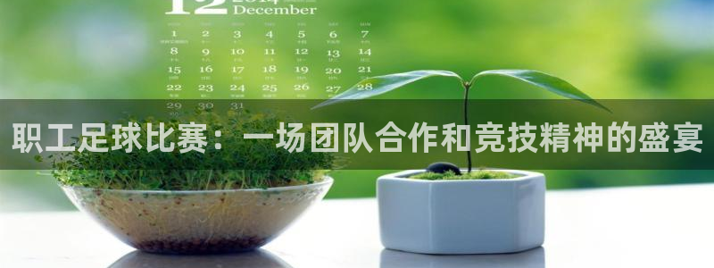  职工足球比赛：一场团队合作和竞技精神的盛宴