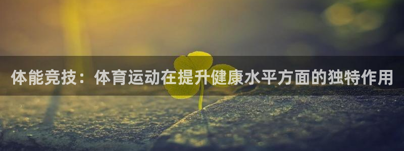 3377体育网页登录入口