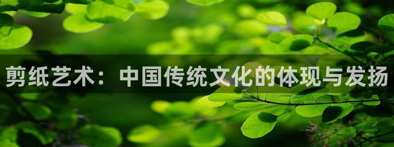 3377体育中国官方网站入口