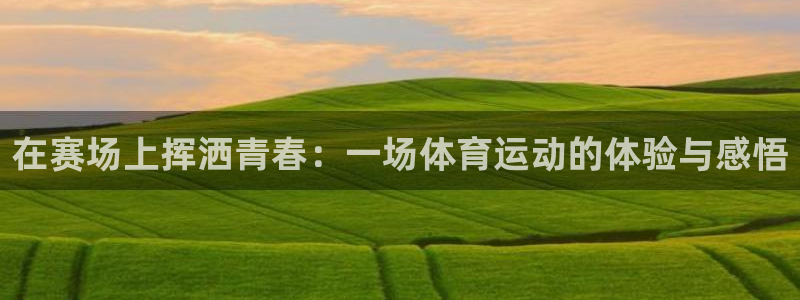 3377体育