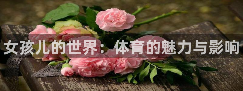 3377体育在线