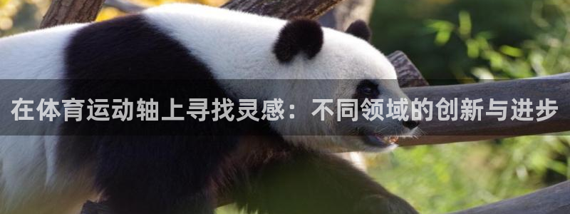 3377体育在线