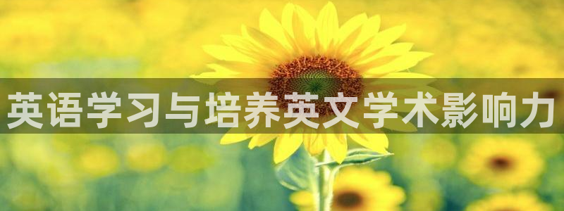 3377体育app登录入口