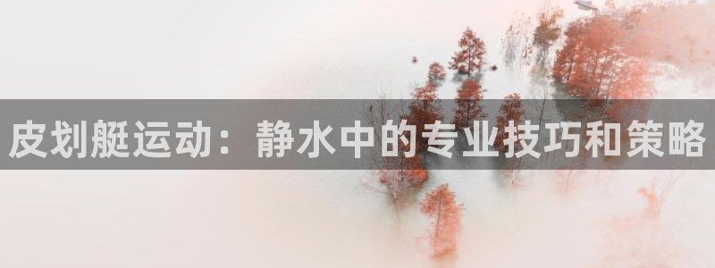 3377体育官网下载