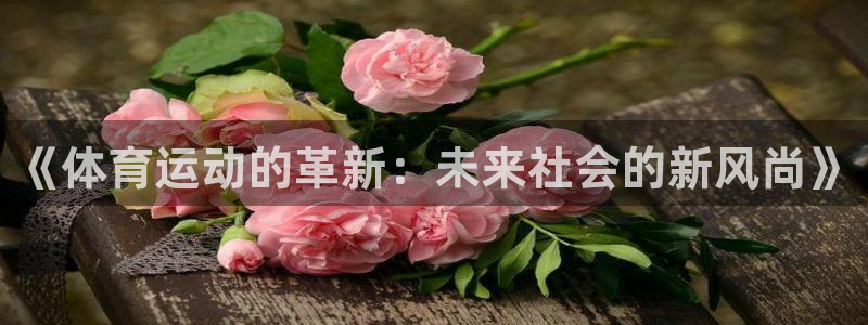 3377体育全网