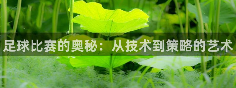 足球比赛的奥秘：从技术到策略的艺术