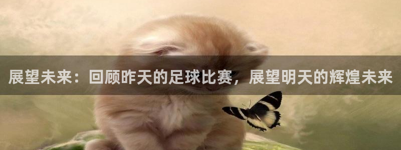 展望未来：回顾昨天的足球比赛，展望明