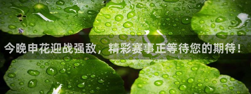今晚申花迎战强敌，精彩赛事正等待您的