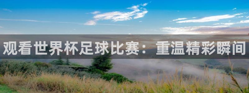 观看世界杯足球比赛：重温精彩瞬间
