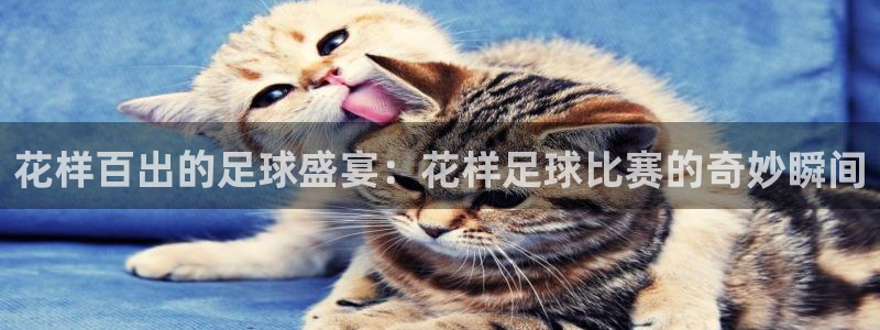 花样百出的足球盛宴：花样足球比赛的奇