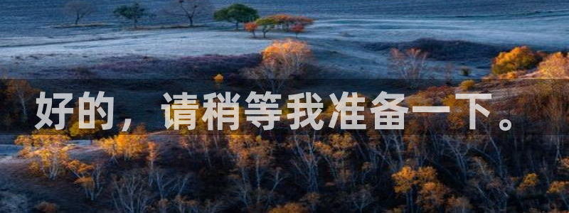 好的，请稍等我准备一下。
