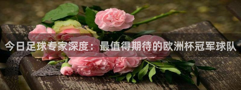  今日足球专家深度：最值得期待的欧洲杯冠军球队
