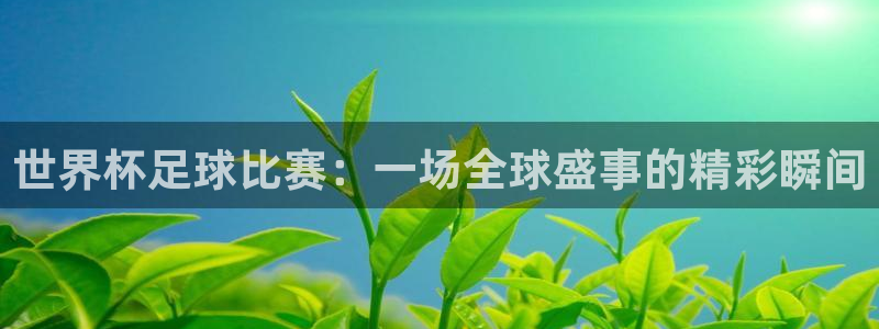 世界杯足球比赛：一场全球盛事的精彩瞬间