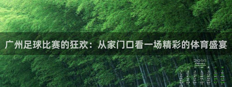 广州足球比赛的狂欢：从家门口看一场精彩的体育盛宴