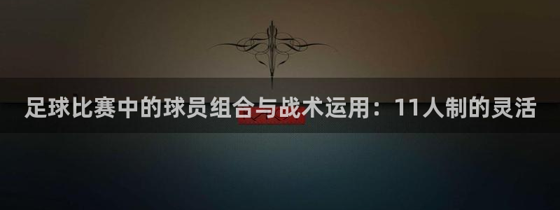 足球比赛中的球员组合与战术运用：11