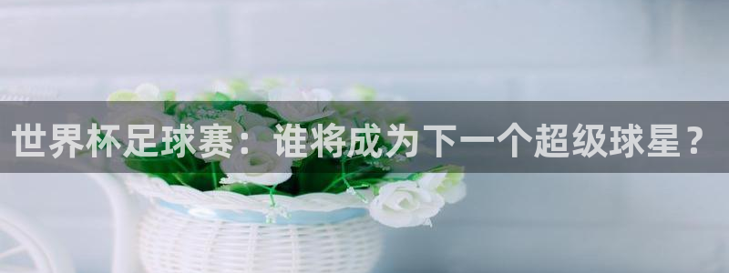 世界杯足球赛：谁将成为下一个超级球星？