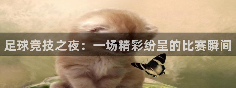  足球竞技之夜：一场精彩纷呈的比赛瞬间