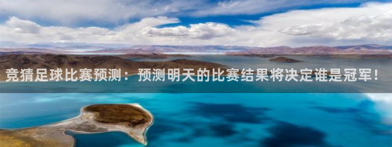 竞猜足球比赛预测：预测明天的比赛结果