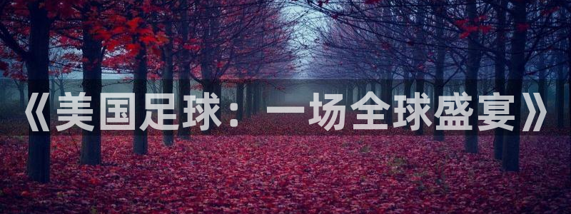 《美国足球：一场全球盛宴》