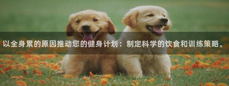 3377体育官方app下载