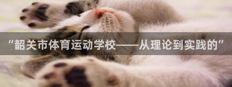 3377体育是正规平台吗