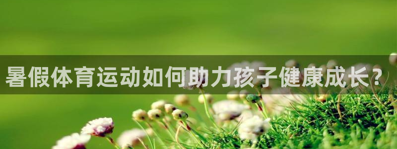 3377体育官网下载