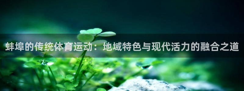 3377体育网页登录入口
