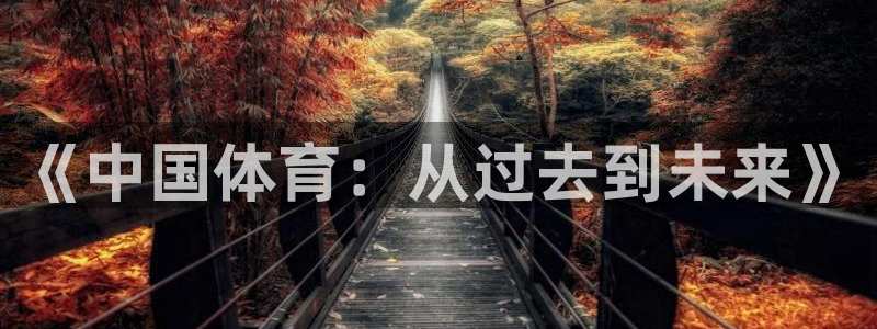 3377体育在线